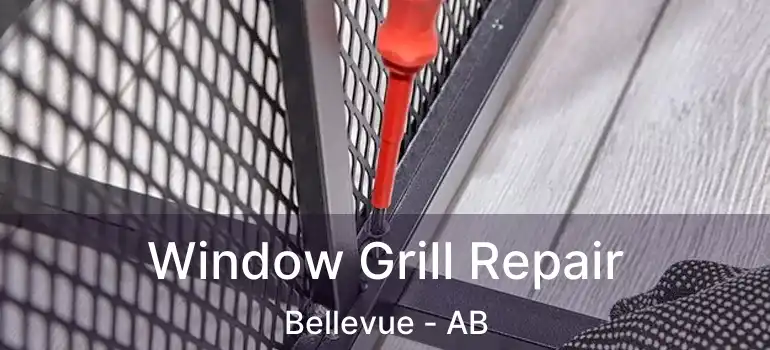  Window Grill Repair Bellevue - AB