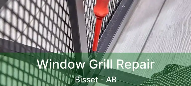  Window Grill Repair Bisset - AB