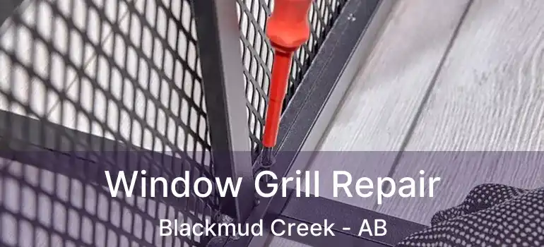  Window Grill Repair Blackmud Creek - AB