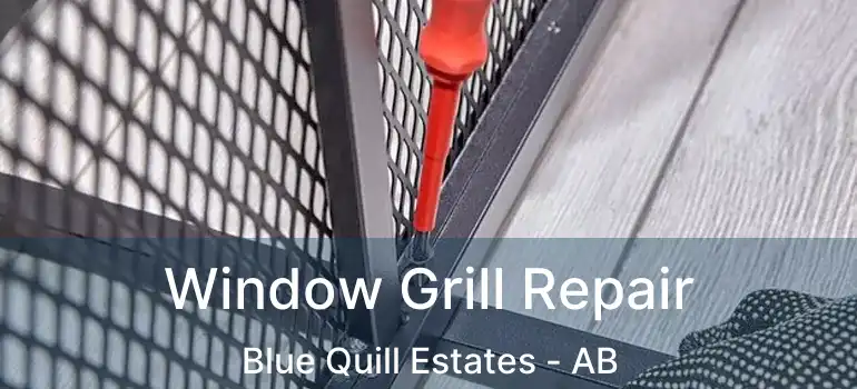  Window Grill Repair Blue Quill Estates - AB