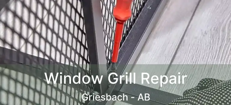  Window Grill Repair Griesbach - AB