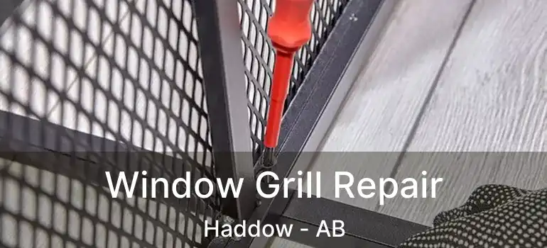  Window Grill Repair Haddow - AB