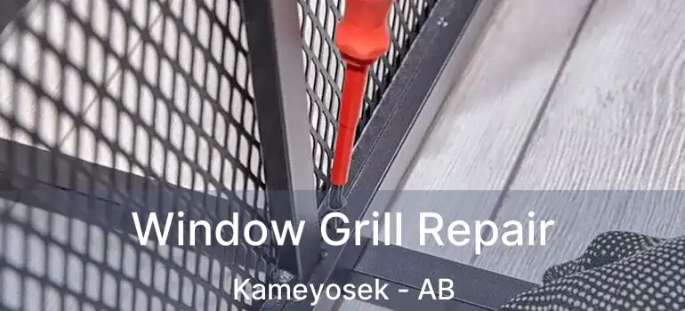  Window Grill Repair Kameyosek - AB