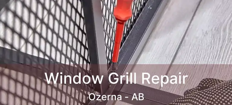  Window Grill Repair Ozerna - AB