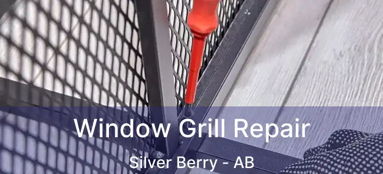  Window Grill Repair Silver Berry - AB