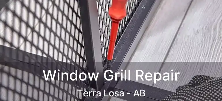  Window Grill Repair Terra Losa - AB