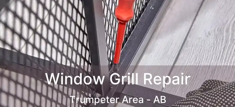  Window Grill Repair Trumpeter Area - AB