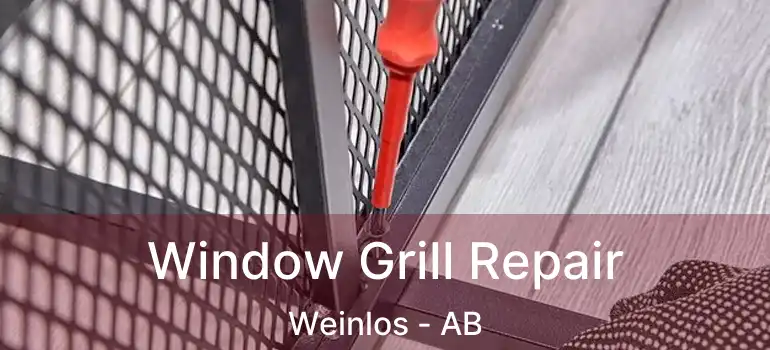  Window Grill Repair Weinlos - AB