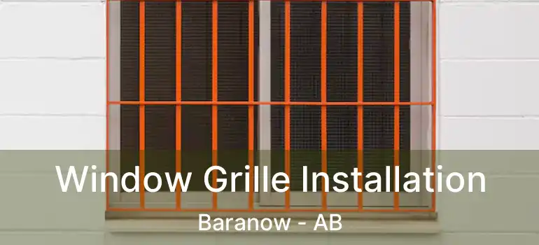  Window Grille Installation Baranow - AB