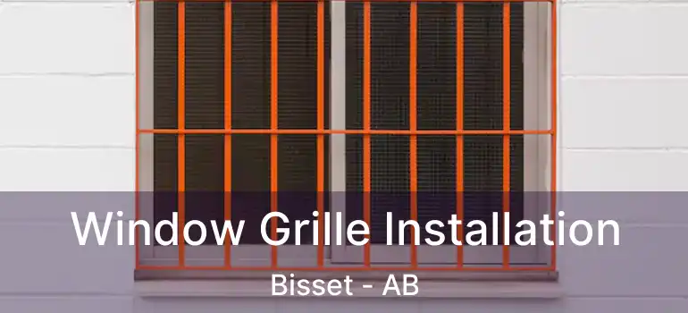  Window Grille Installation Bisset - AB