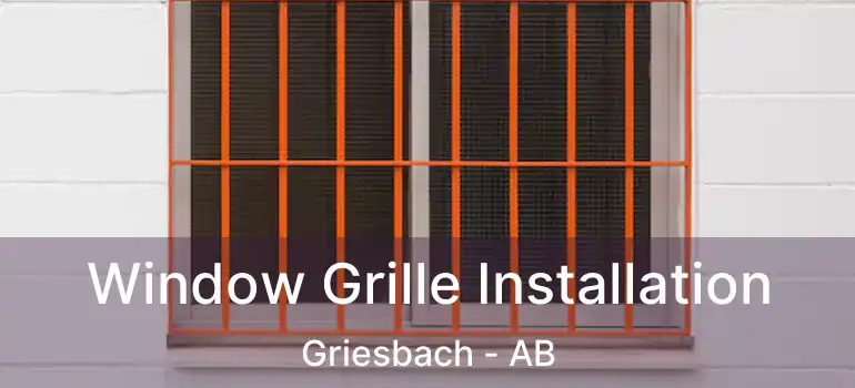  Window Grille Installation Griesbach - AB