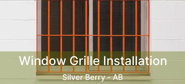  Window Grille Installation Silver Berry - AB