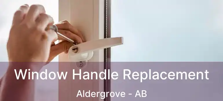  Window Handle Replacement Aldergrove - AB