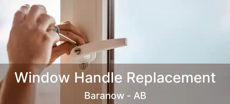  Window Handle Replacement Baranow - AB