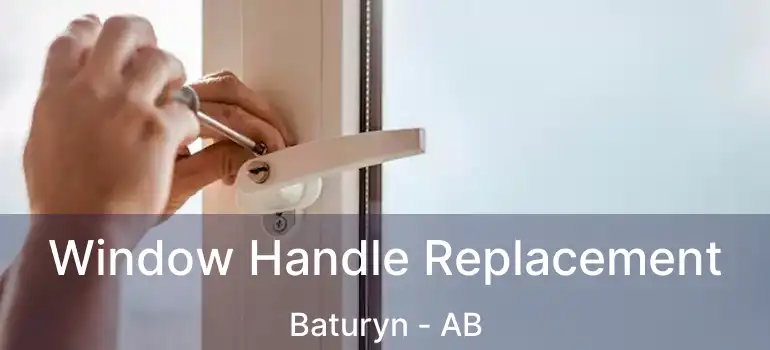  Window Handle Replacement Baturyn - AB