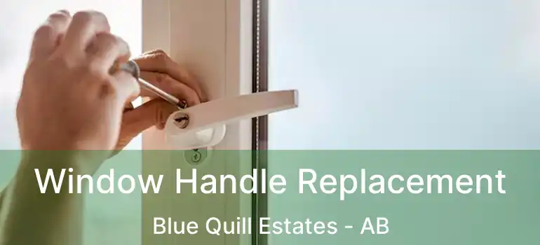 Window Handle Replacement Blue Quill Estates - AB