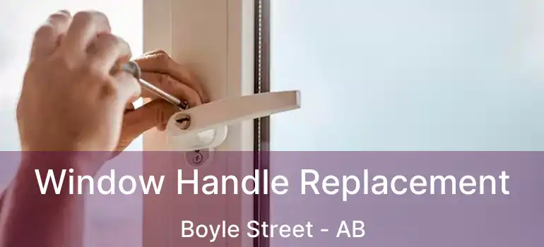  Window Handle Replacement Boyle Street - AB