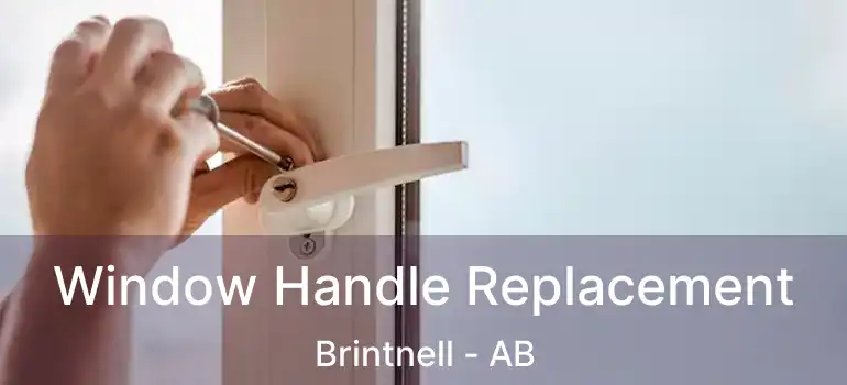  Window Handle Replacement Brintnell - AB