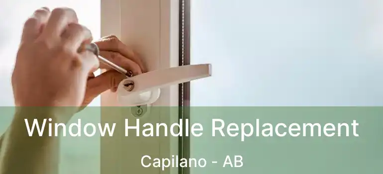  Window Handle Replacement Capilano - AB