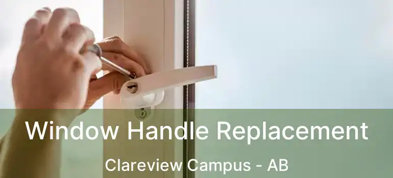  Window Handle Replacement Clareview Campus - AB