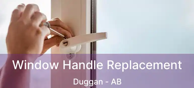  Window Handle Replacement Duggan - AB