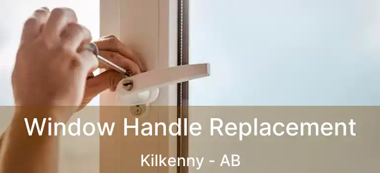  Window Handle Replacement Kilkenny - AB