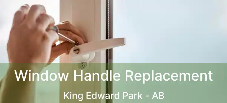  Window Handle Replacement King Edward Park - AB