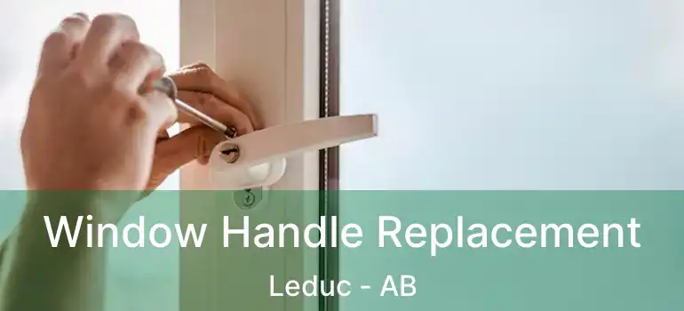  Window Handle Replacement Leduc - AB