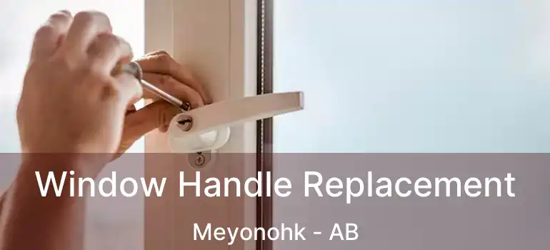  Window Handle Replacement Meyonohk - AB