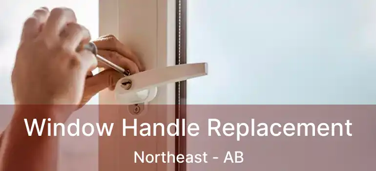  Window Handle Replacement Northeast - AB