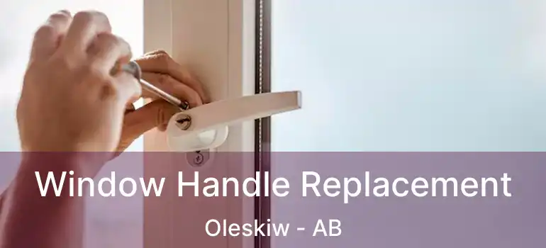 Window Handle Replacement Oleskiw - AB