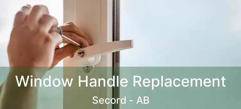  Window Handle Replacement Secord - AB