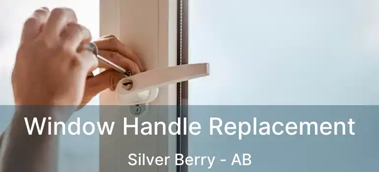  Window Handle Replacement Silver Berry - AB