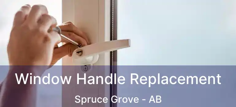  Window Handle Replacement Spruce Grove - AB