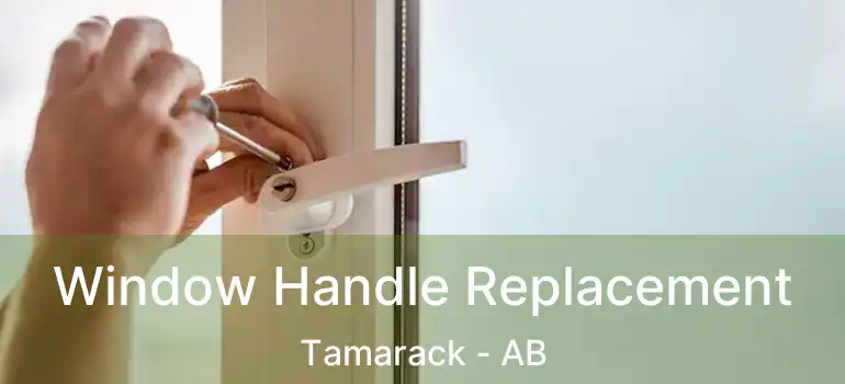  Window Handle Replacement Tamarack - AB
