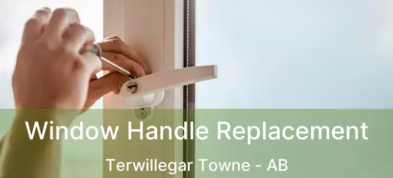  Window Handle Replacement Terwillegar Towne - AB