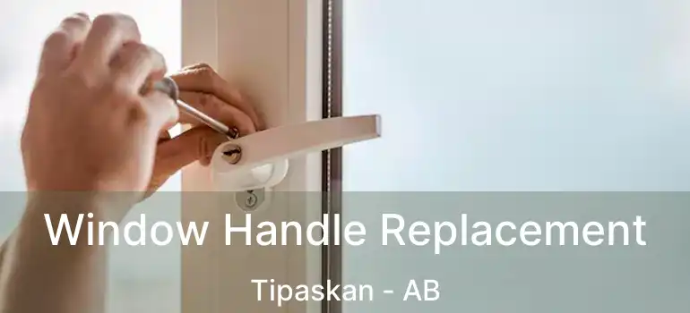  Window Handle Replacement Tipaskan - AB