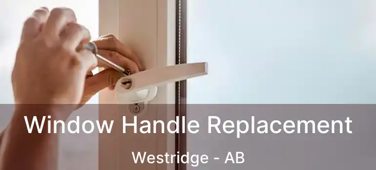  Window Handle Replacement Westridge - AB
