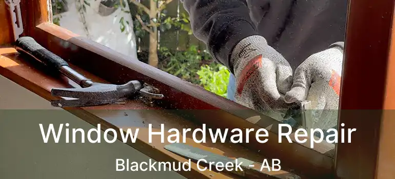  Window Hardware Repair Blackmud Creek - AB