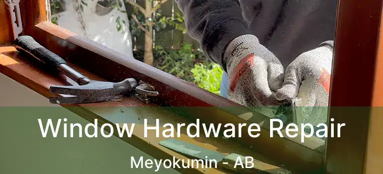  Window Hardware Repair Meyokumin - AB