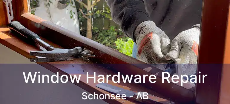  Window Hardware Repair Schonsee - AB