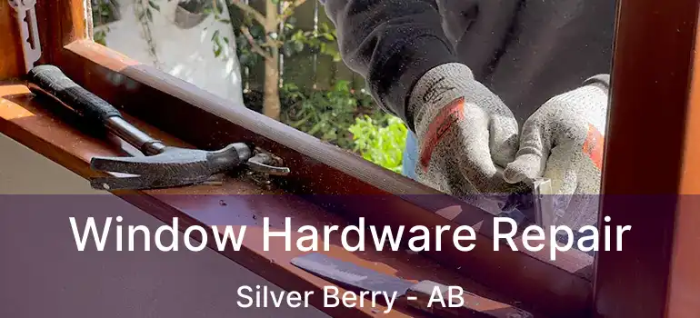  Window Hardware Repair Silver Berry - AB