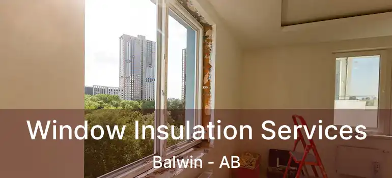  Window Insulation Services Balwin - AB