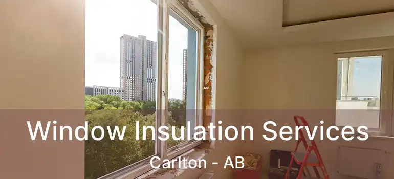  Window Insulation Services Carlton - AB