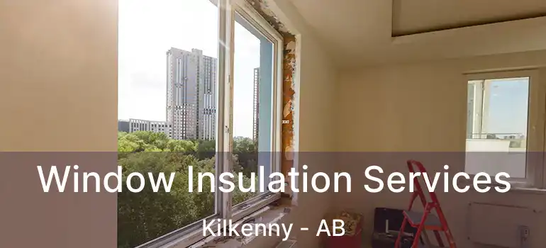  Window Insulation Services Kilkenny - AB
