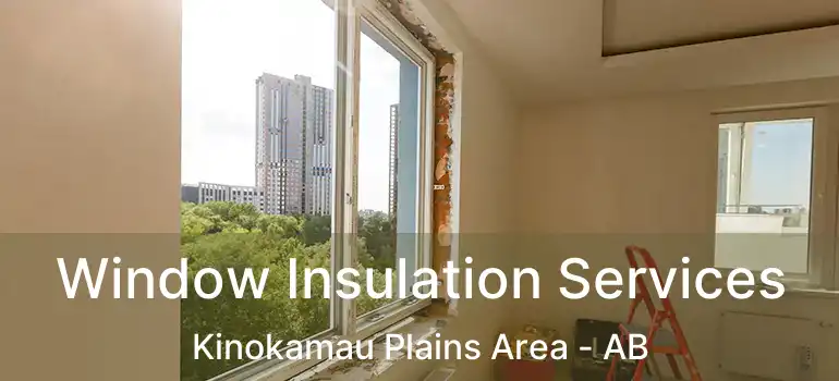  Window Insulation Services Kinokamau Plains Area - AB