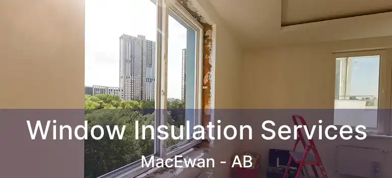  Window Insulation Services MacEwan - AB