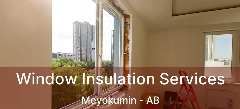  Window Insulation Services Meyokumin - AB