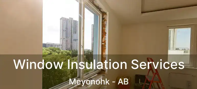  Window Insulation Services Meyonohk - AB