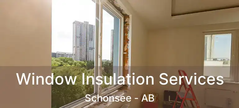  Window Insulation Services Schonsee - AB